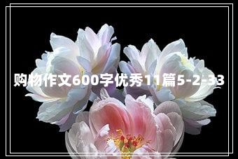 购物作文600字优秀11篇5-2-33