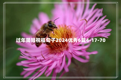 过年简短祝福句子2024优秀6篇4-17-70