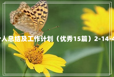 个人总结及工作计划（优秀15篇）2-14-47