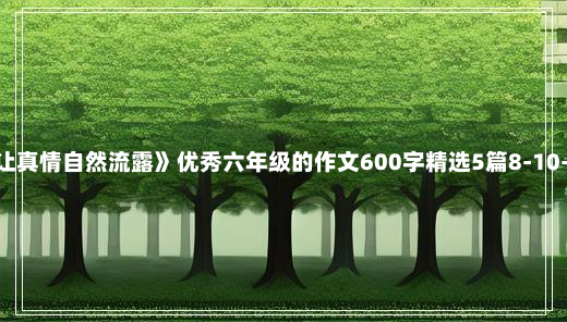 《让真情自然流露》优秀六年级的作文600字精选5篇8-10-52