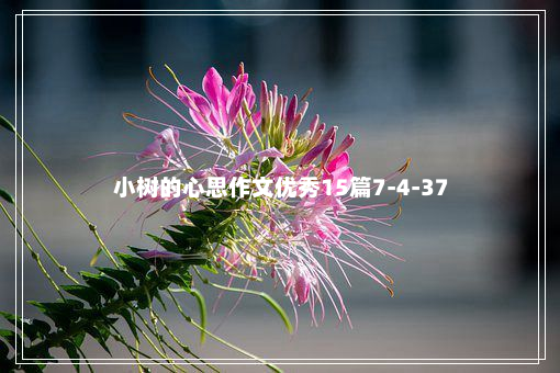 小树的心思作文优秀15篇7-4-37