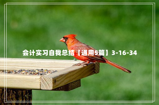 会计实习自我总结【通用5篇】3-16-34