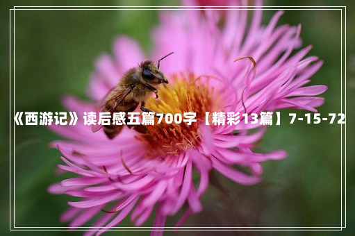 《西游记》读后感五篇700字【精彩13篇】7-15-72