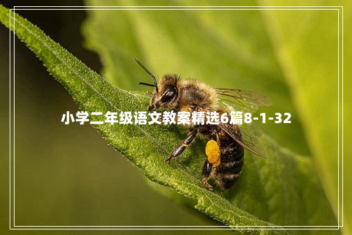 小学二年级语文教案精选6篇8-1-32