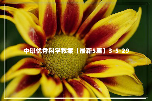 中班优秀科学教案【最新5篇】3-5-29