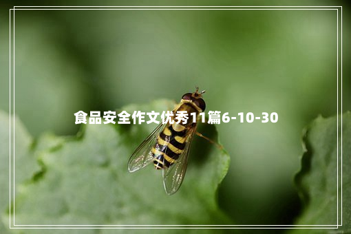 食品安全作文优秀11篇6-10-30