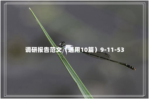 调研报告范文（通用10篇）9-11-53