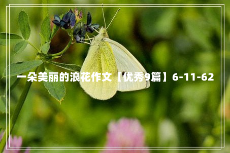 一朵美丽的浪花作文【优秀9篇】6-11-62