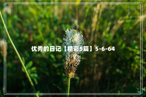 优秀的日记【精彩5篇】5-6-64