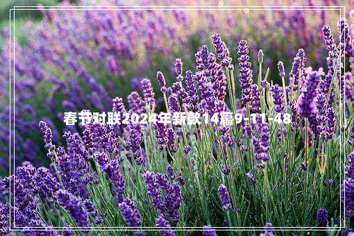 春节对联2024年新款14篇9-11-48