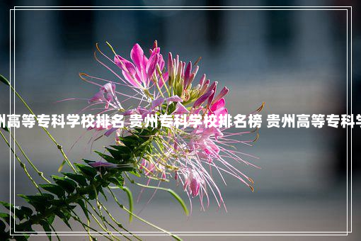 贵州高等专科学校排名 贵州专科学校排名榜 贵州高等专科学校