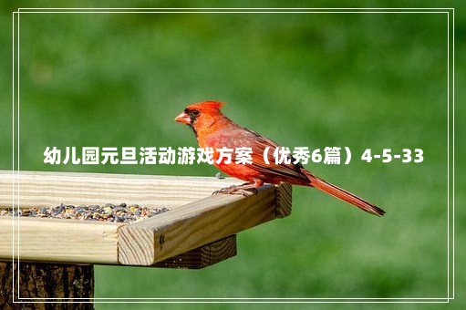 幼儿园元旦活动游戏方案（优秀6篇）4-5-33