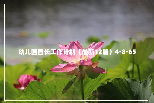 幼儿园园长工作计划（最新12篇）4-8-65