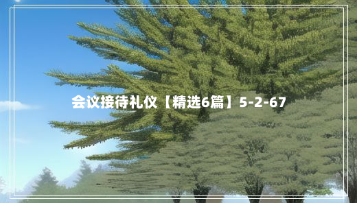 会议接待礼仪【精选6篇】5-2-67