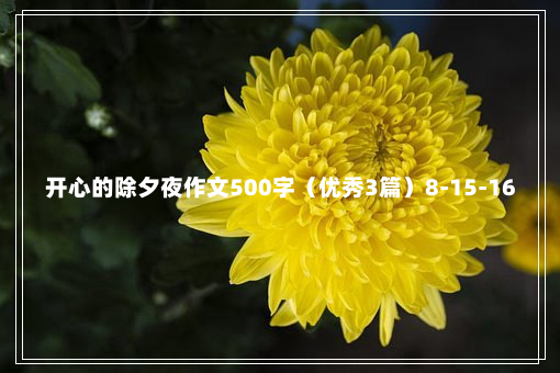 开心的除夕夜作文500字（优秀3篇）8-15-16