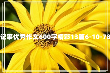 记事优秀作文600字精彩13篇6-10-78