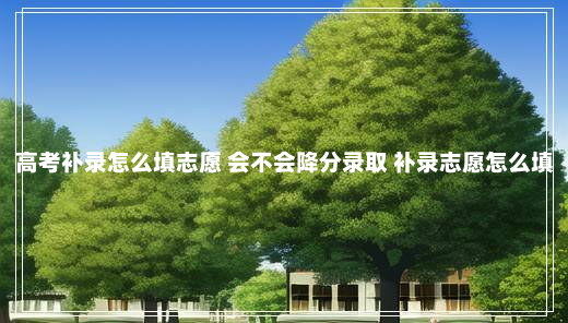 高考补录怎么填志愿 会不会降分录取 补录志愿怎么填