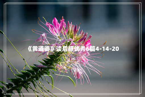 《黄道婆》读后感优秀6篇4-14-20