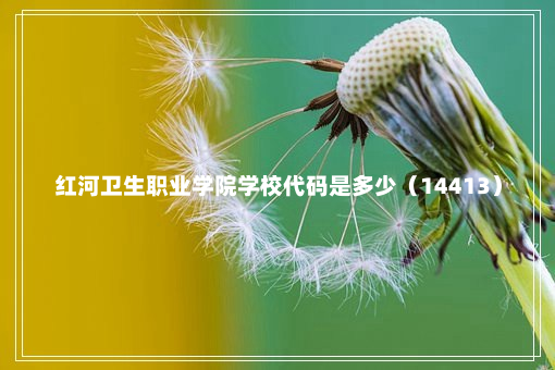 红河卫生职业学院学校代码是多少（14413）