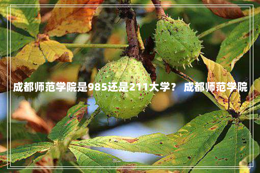 成都师范学院是985还是211大学？ 成都师范学院