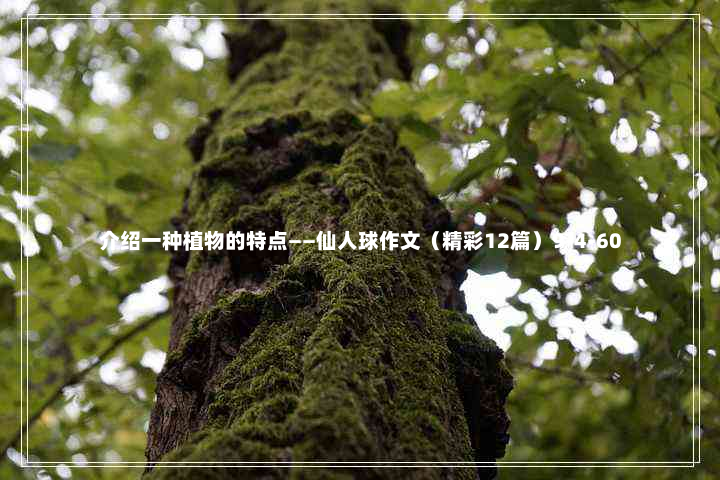 介绍一种植物的特点——仙人球作文（精彩12篇）9-4-60