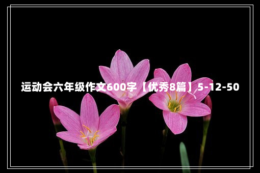 运动会六年级作文600字【优秀8篇】5-12-50