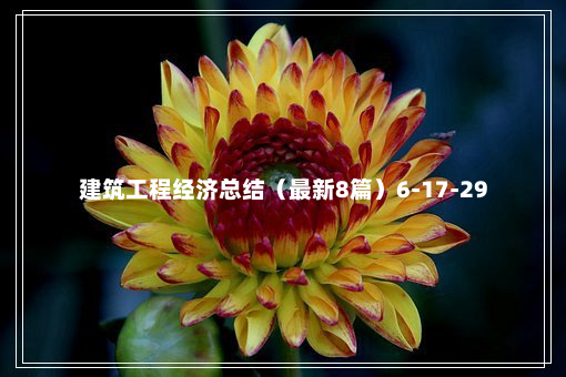 建筑工程经济总结（最新8篇）6-17-29