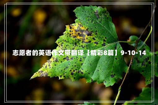 志愿者的英语作文带翻译【精彩8篇】9-10-14