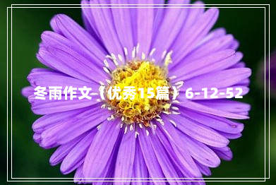 冬雨作文（优秀15篇）6-12-52