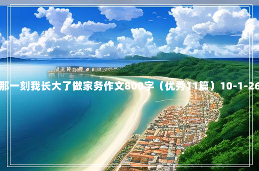 那一刻我长大了做家务作文800字（优秀11篇）10-1-26