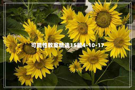 可能性教案精选15篇4-10-17