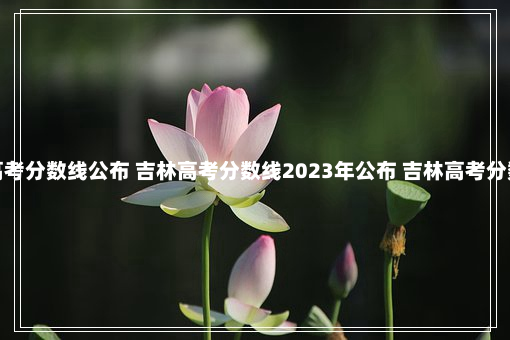 2023年吉林省高考分数线公布 吉林高考分数线2023年公布 吉林高考分数线2023年公布