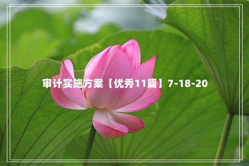 审计实施方案【优秀11篇】7-18-20