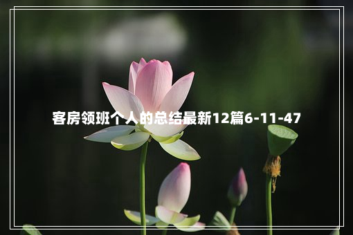 客房领班个人的总结最新12篇6-11-47