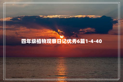 四年级植物观察日记优秀6篇1-4-40