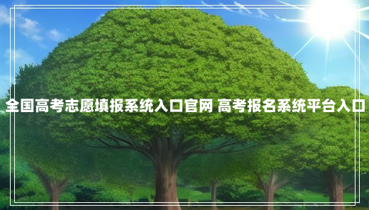 全国高考志愿填报系统入口官网 高考报名系统平台入口