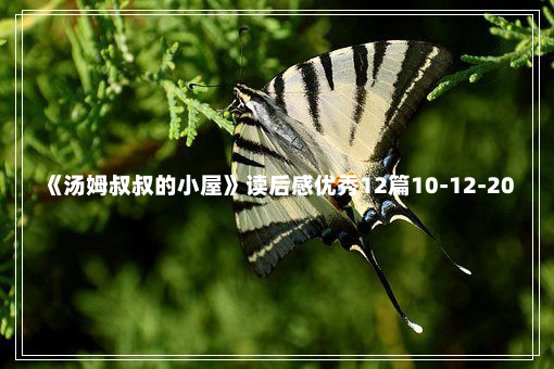 《汤姆叔叔的小屋》读后感优秀12篇10-12-20