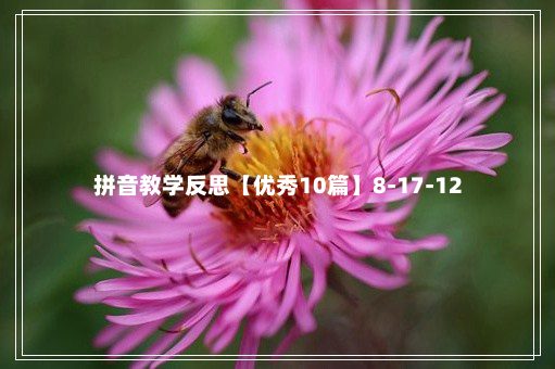 拼音教学反思【优秀10篇】8-17-12