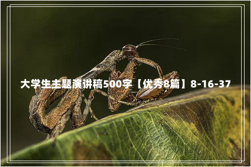 大学生主题演讲稿500字【优秀8篇】8-16-37