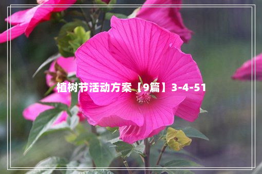 植树节活动方案【9篇】3-4-51