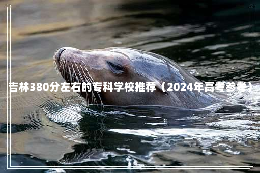 吉林380分左右的专科学校推荐（2024年高考参考）