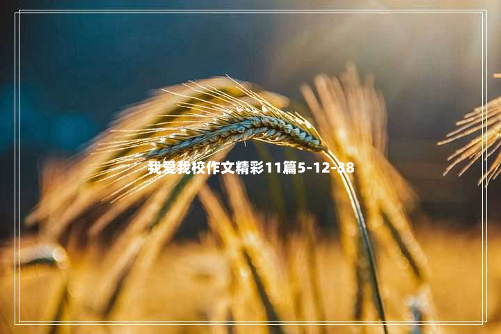 我爱我校作文精彩11篇5-12-38