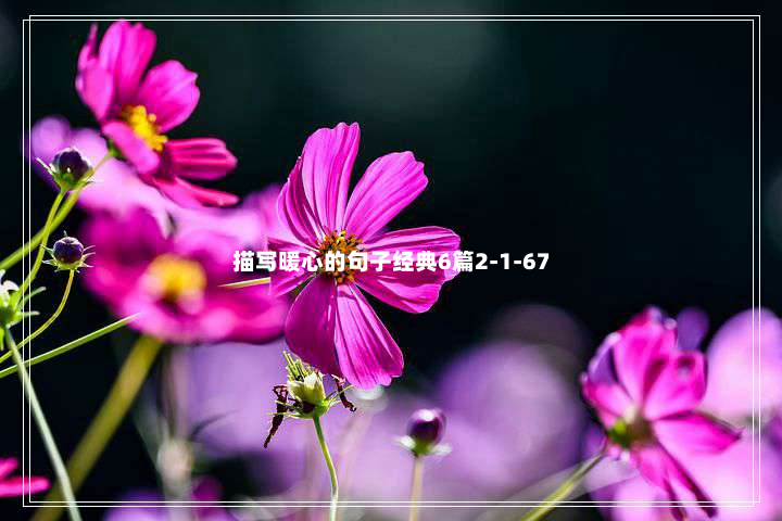 描写暖心的句子经典6篇2-1-67