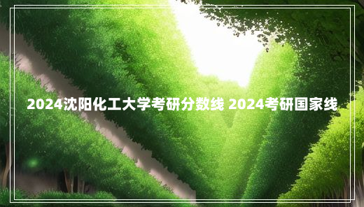 2024沈阳化工大学考研分数线 2024考研国家线