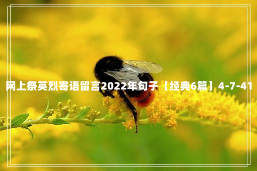 网上祭英烈寄语留言2022年句子【经典6篇】4-7-41