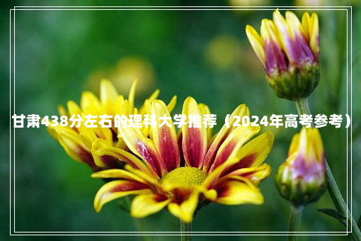 甘肃438分左右的理科大学推荐（2024年高考参考）