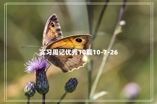 实习周记优秀10篇10-7-26