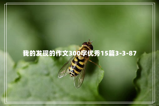 我的发现的作文300字优秀15篇3-3-87