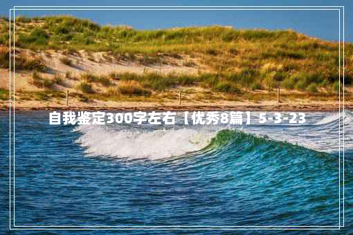 自我鉴定300字左右【优秀8篇】5-3-23