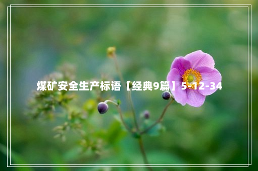 煤矿安全生产标语【经典9篇】5-12-34